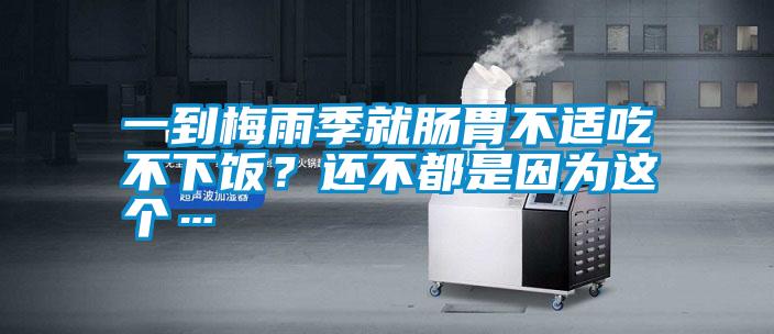 一到梅雨季就腸胃不適吃不下飯？還不都是因?yàn)檫@個(gè)…