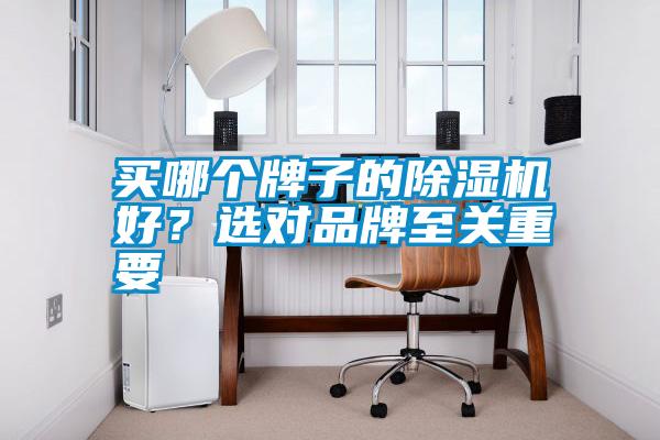 買哪個(gè)牌子的除濕機(jī)好？選對品牌至關(guān)重要