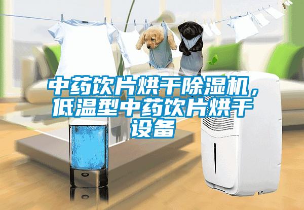中藥飲片烘干除濕機，低溫型中藥飲片烘干設備
