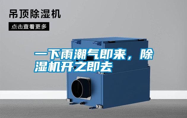 一下雨潮氣即來，除濕機開之即去