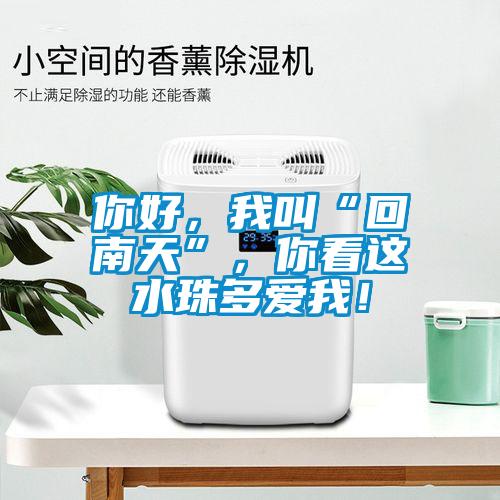 你好，我叫“回南天”，你看這水珠多愛(ài)我！