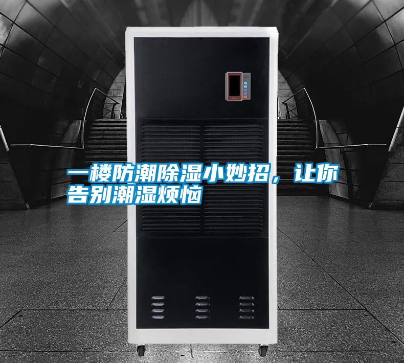 一樓防潮除濕小妙招，讓你告別潮濕煩惱