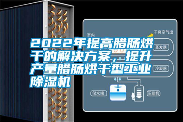 2022年提高臘腸烘干的解決方案，提升產(chǎn)量臘腸烘干型工業(yè)除濕機