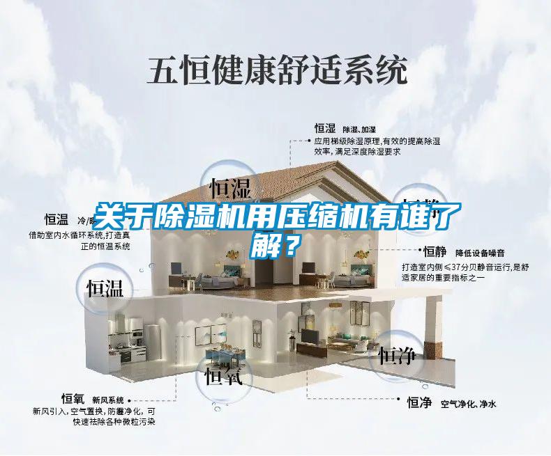 關(guān)于除濕機用壓縮機有誰了解？