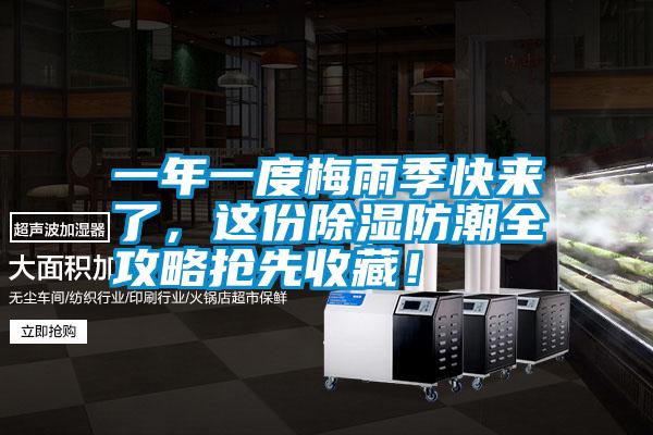 一年一度梅雨季快來了，這份除濕防潮全攻略搶先收藏！