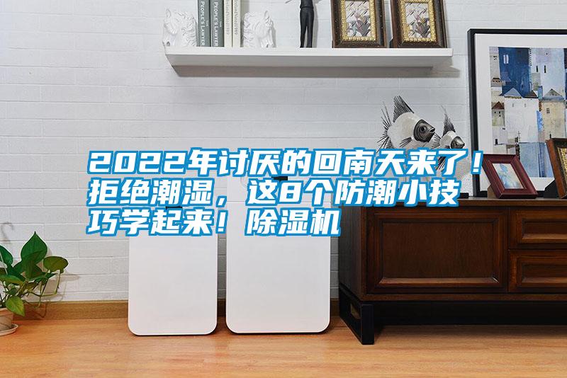 2022年討厭的回南天來了！拒絕潮濕，這8個防潮小技巧學起來！除濕機