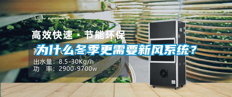 為什么冬季更需要新風(fēng)系統(tǒng)？