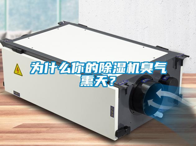 為什么你的除濕機臭氣熏天？