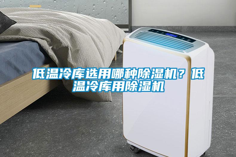 低溫冷庫(kù)選用哪種除濕機(jī)？低溫冷庫(kù)用除濕機(jī)