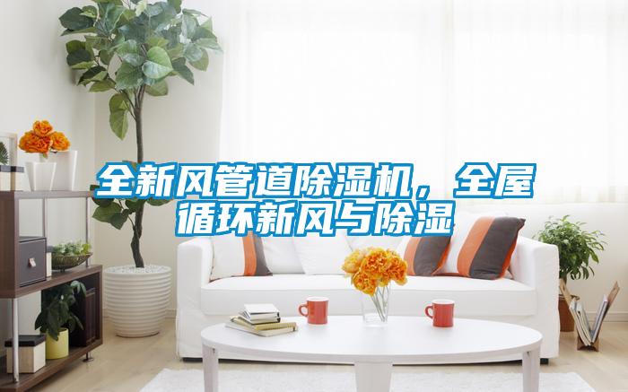 全新風(fēng)管道除濕機(jī)，全屋循環(huán)新風(fēng)與除濕