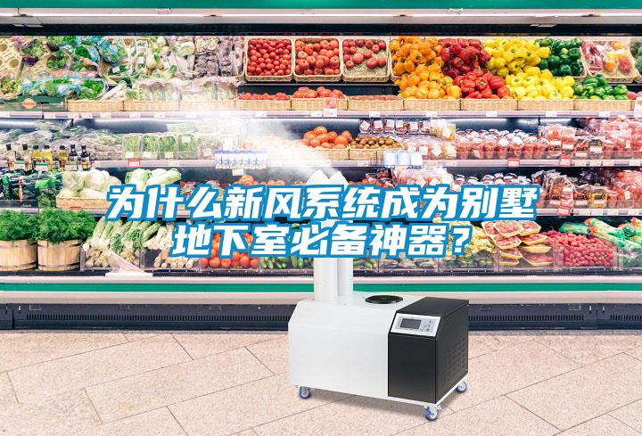 為什么新風(fēng)系統(tǒng)成為別墅地下室必備神器？