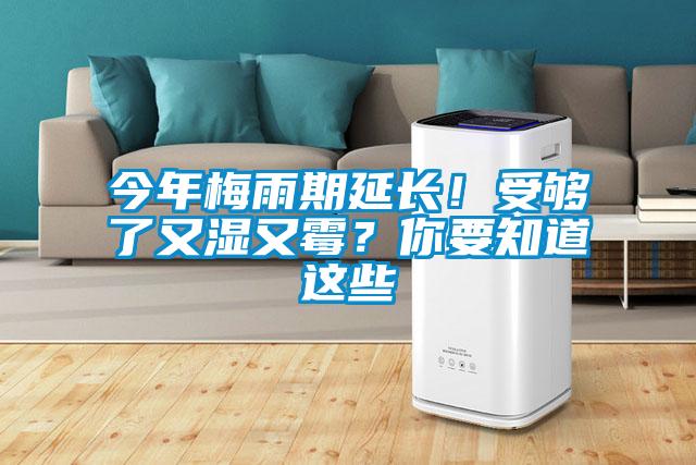 今年梅雨期延長！受夠了又濕又霉？你要知道這些