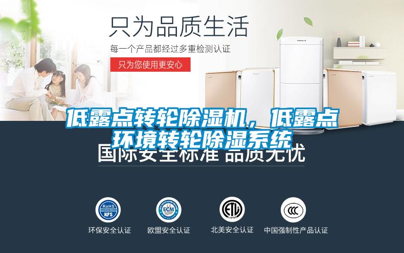 低露點轉(zhuǎn)輪除濕機，低露點環(huán)境轉(zhuǎn)輪除濕系統(tǒng)