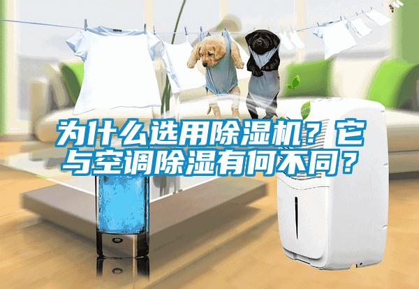 為什么選用除濕機？它與空調(diào)除濕有何不同？