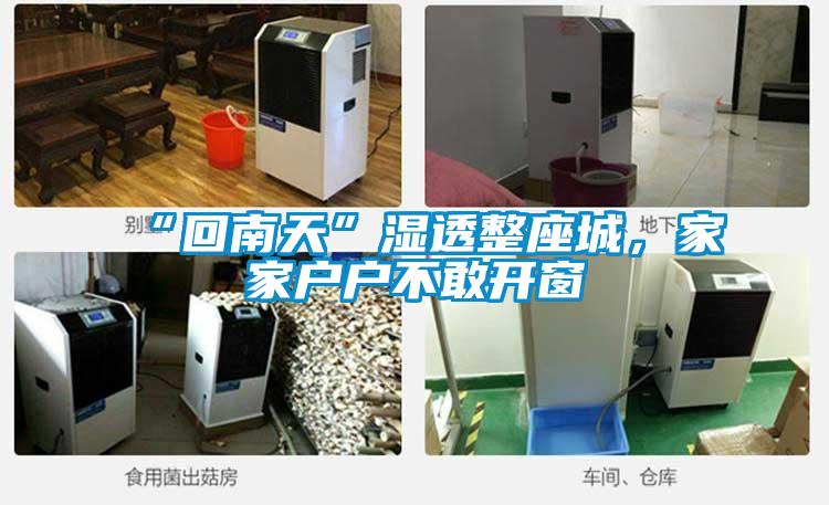 “回南天”濕透整座城，家家戶戶不敢開窗