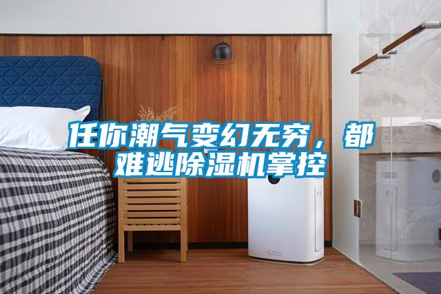 任你潮氣變幻無窮，都難逃除濕機(jī)掌控