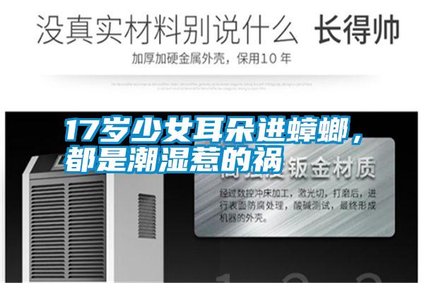 17歲少女耳朵進蟑螂，都是潮濕惹的禍