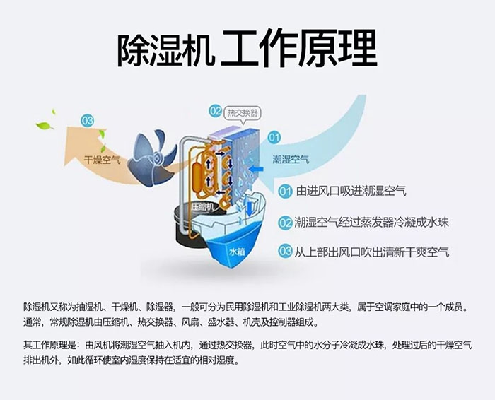 南方梅雨季到了房屋墻壁滲水、返潮怎么辦？