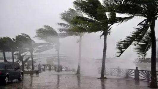 8月臺風(fēng)雨即將來，除濕機還得用起來