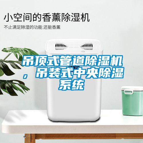 吊頂式管道除濕機，吊裝式中央除濕系統(tǒng)