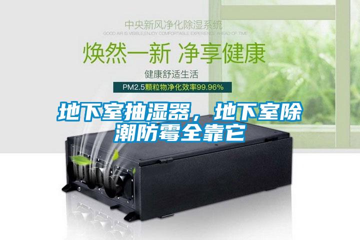地下室抽濕器，地下室除潮防霉全靠它