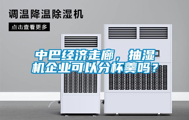 中巴經(jīng)濟(jì)走廊，抽濕機(jī)企業(yè)可以分杯羹嗎？