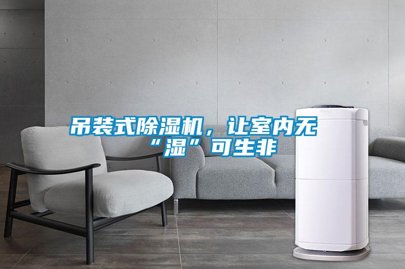 吊裝式除濕機，讓室內(nèi)無“濕”可生非
