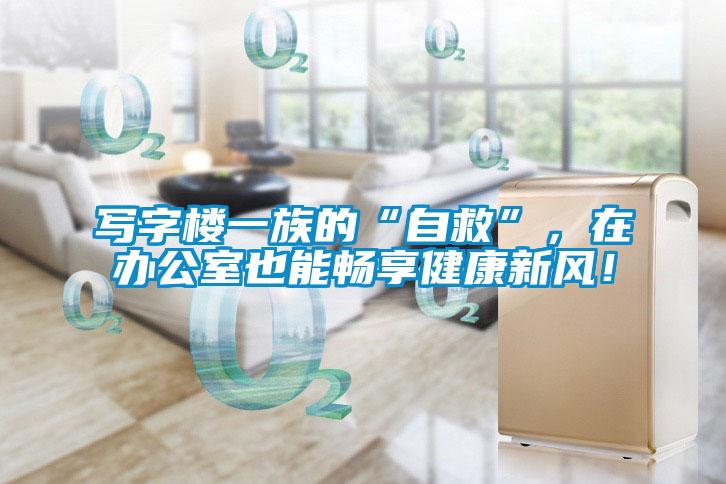 寫字樓一族的“自救”，在辦公室也能暢享健康新風！