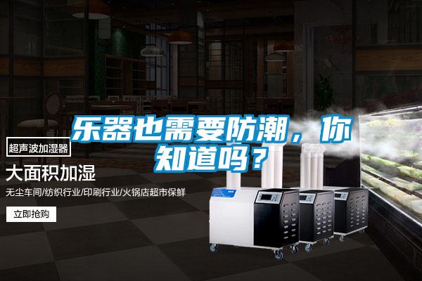 樂器也需要防潮，你知道嗎？