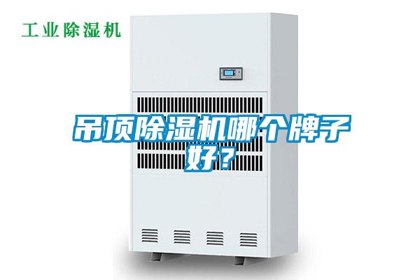 吊頂除濕機(jī)哪個(gè)牌子好？