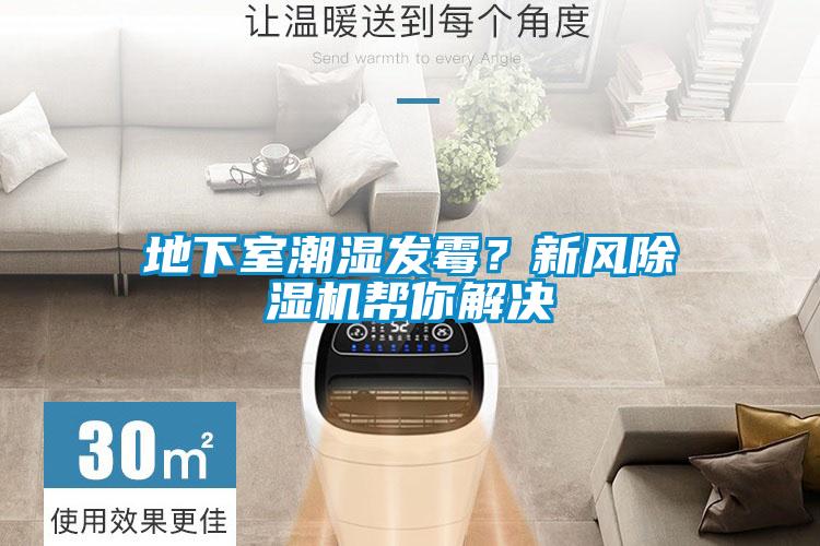 地下室潮濕發(fā)霉？新風除濕機幫你解決