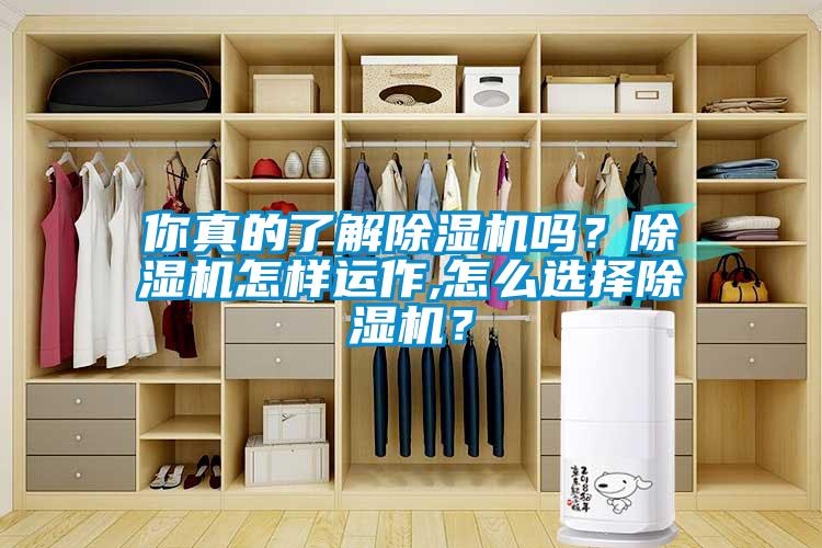 你真的了解除濕機(jī)嗎？除濕機(jī)怎樣運(yùn)作,怎么選擇除濕機(jī)？