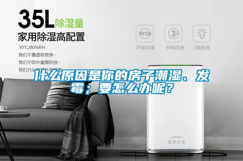 什么原因是你的房子潮濕、發(fā)霉；要怎么辦呢？