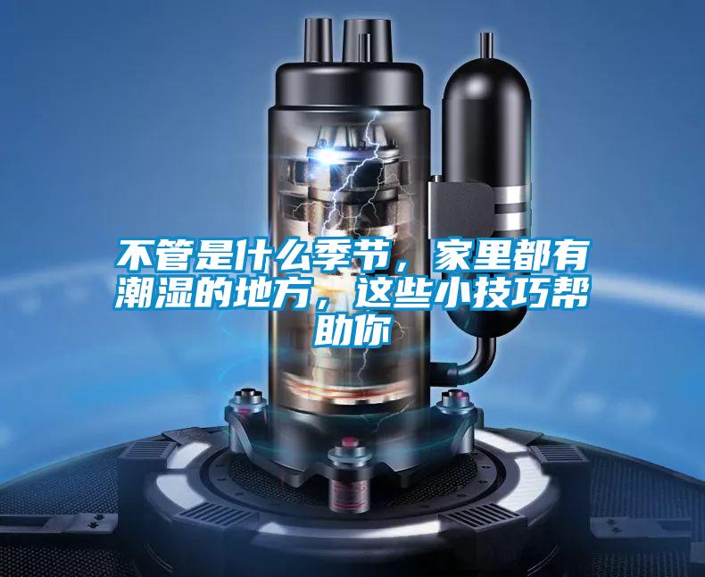 不管是什么季節(jié)，家里都有潮濕的地方，這些小技巧幫助你
