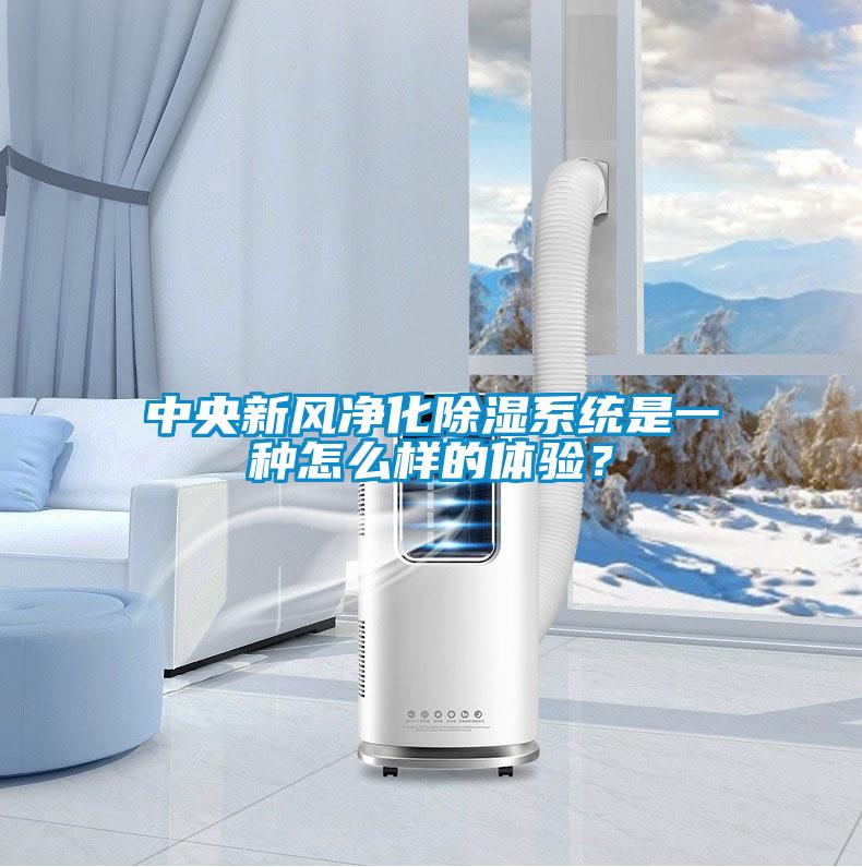 中央新風(fēng)凈化除濕系統(tǒng)是一種怎么樣的體驗(yàn)？