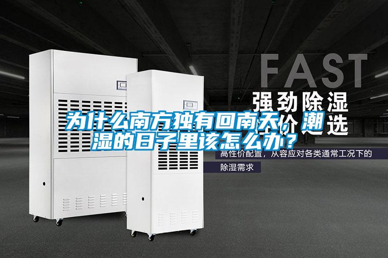 為什么南方獨(dú)有回南天，潮濕的日子里該怎么辦？