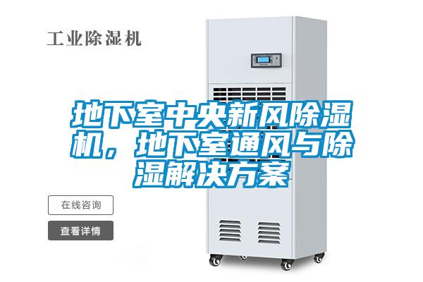 地下室中央新風除濕機，地下室通風與除濕解決方案