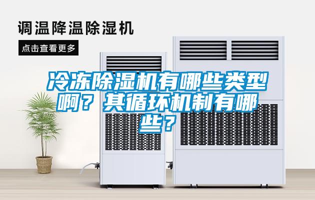 冷凍除濕機有哪些類型?。科溲h(huán)機制有哪些？