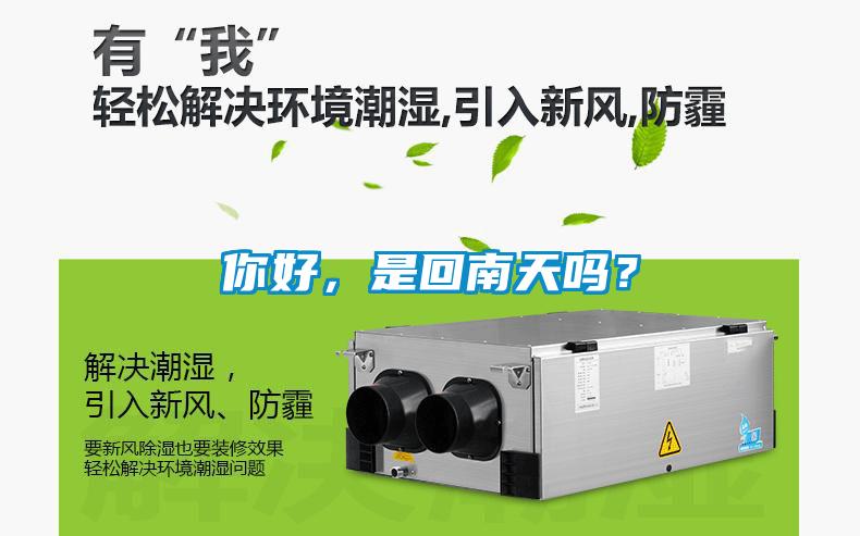 你好，是回南天嗎？