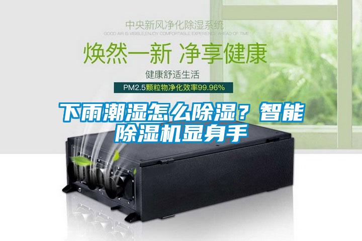 下雨潮濕怎么除濕？智能除濕機顯身手