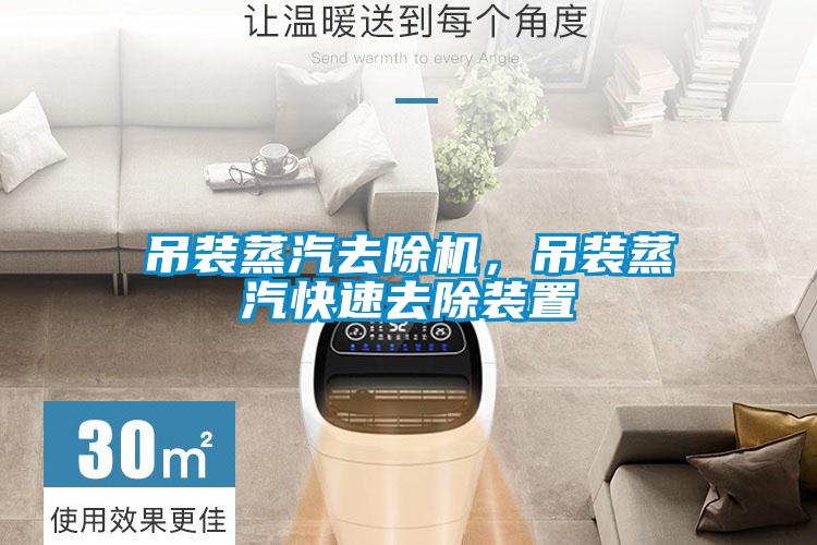吊裝蒸汽去除機，吊裝蒸汽快速去除裝置