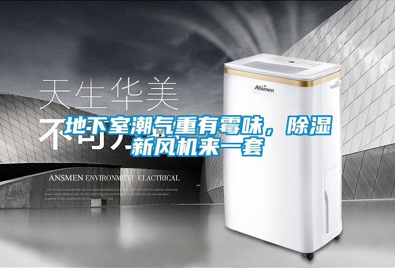 地下室潮氣重有霉味，除濕新風機來一套