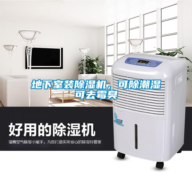 地下室裝除濕機，可除潮濕可去霉臭