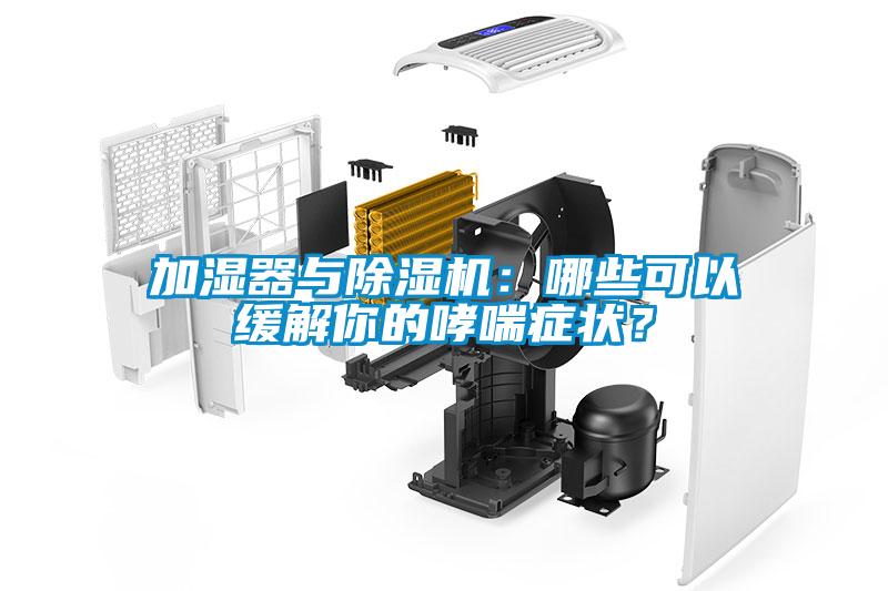 加濕器與除濕機：哪些可以緩解你的哮喘癥狀？