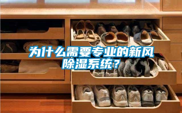 為什么需要專(zhuān)業(yè)的新風(fēng)除濕系統(tǒng)？
