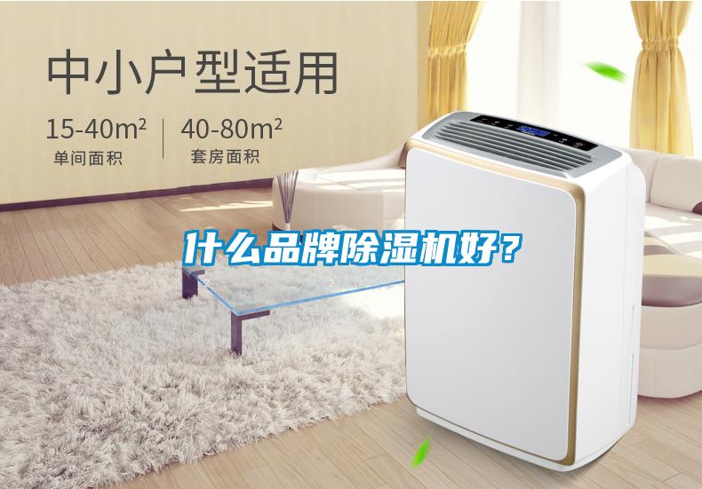 什么品牌除濕機好？
