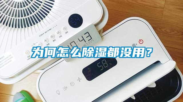 為何怎么除濕都沒用？