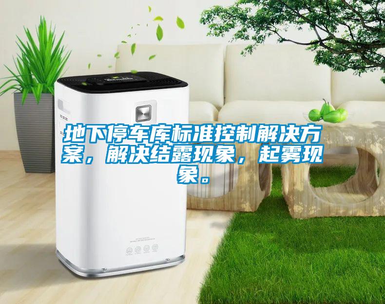 地下停車庫標準控制解決方案，解決結(jié)露現(xiàn)象，起霧現(xiàn)象。
