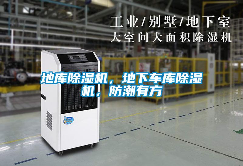 地庫(kù)除濕機(jī)，地下車庫(kù)除濕機(jī)，防潮有方