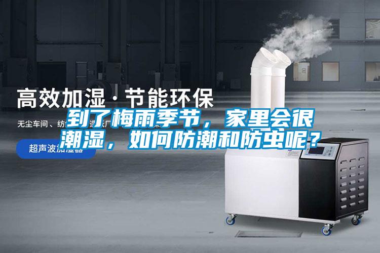 到了梅雨季節(jié)，家里會(huì)很潮濕，如何防潮和防蟲呢？